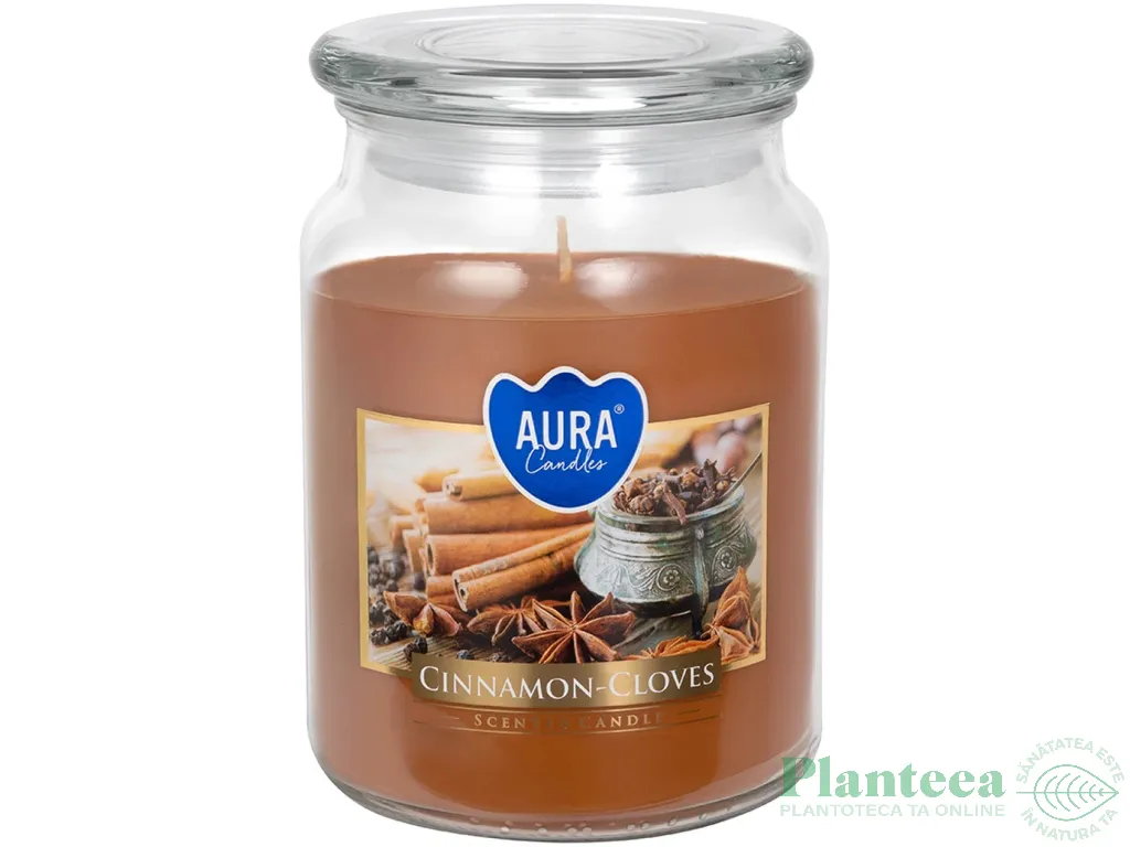 Lumanare parfumata borcan cu capac 100h Scortisoara cuisoare 500g - AURA
