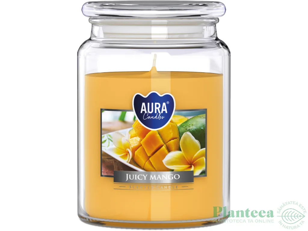 Lumanare parfumata borcan cu capac 100h Mango 500g - AURA