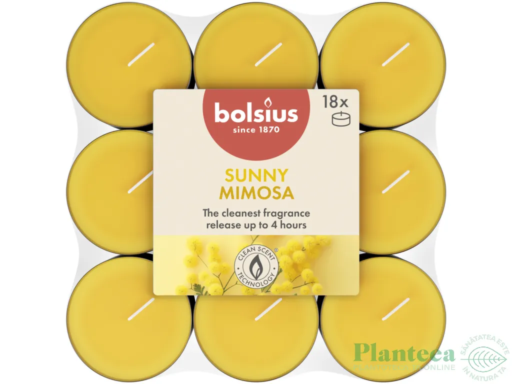 Lumanari pastila parfumate True Scents 4h Mimosa 18b - BOLSIUS