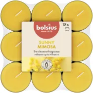 Lumanari pastila parfumate True Scents 4h Mimosa 18b - BOLSIUS