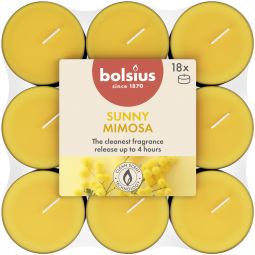 Lumanari pastila parfumate True Scents 4h Mimosa 18b - BOLSIUS