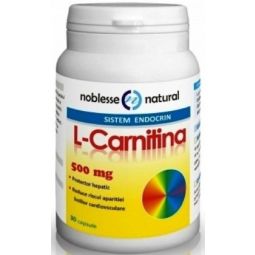 L carnitina 500mg 30cp - NOBLESSE NATURAL