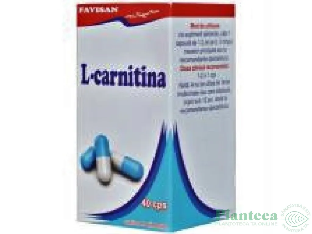 L carnitina 40cps - FAVISAN