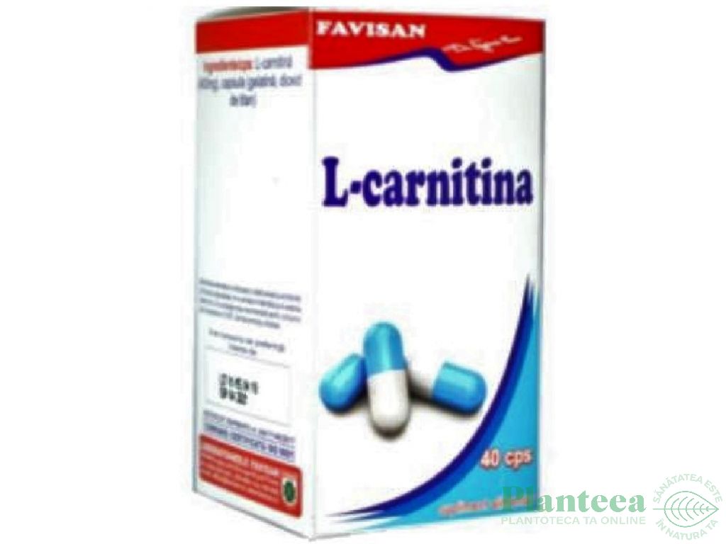 L carnitina 40cps - FAVISAN