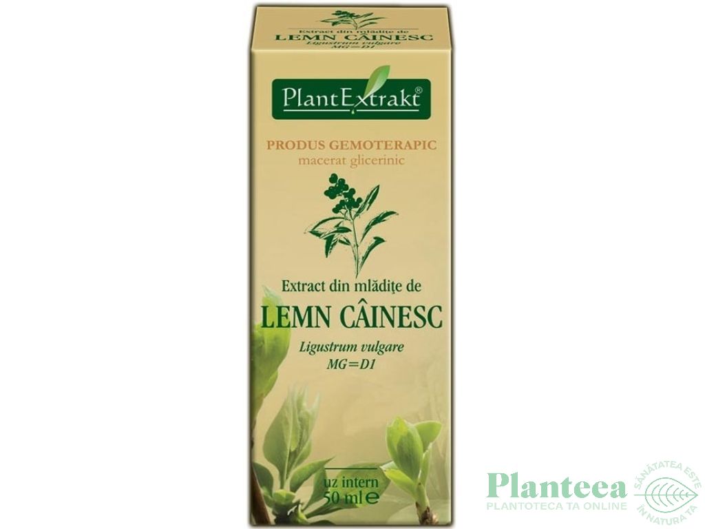 Gemoderivat lemn cainesc mladite 50ml - PLANTEXTRAKT