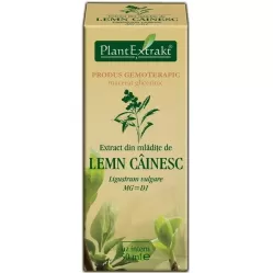 Gemoderivat lemn cainesc mladite 50ml - PLANTEXTRAKT