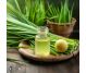 Ulei esential lemongrass 10ml - HERBAL SANA