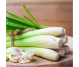 Ulei esential integral lemongrass 10ml - LIFE