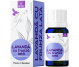 Ulei esential integral lavanda latifolia 10ml - LIFE