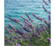 Ulei esential integral lavanda officinale 10ml - LIFE