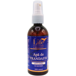 Apa florala trandafir 100ml - LIFE