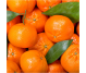 Ulei esential integral mandarin rosu 10ml - LIFE