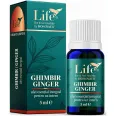 Ulei esential integral ghimbir 5ml - LIFE