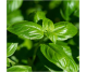 Blend uleiuri esentiale integrale Atentie treaza 10ml - LIFE