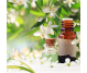 Ulei esential integral neroli 5ml - LIFE