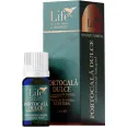Ulei esential integral portocala dulce 5ml - LIFE