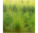 Ulei esential integral vetivert 5ml - LIFE