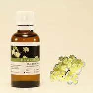 Ulei esential litsea cubeba 100ml - SANFLORA