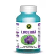 Lucerna 60cps - HYPERICUM PLANT