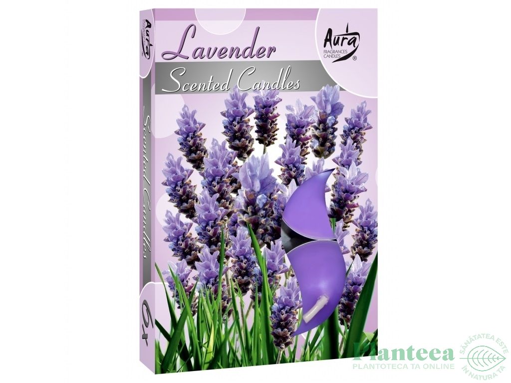 Lumanari pastila parfumate 4h lavanda set 6b - BISPOL