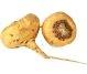 Maca forte 60cps - LIFE