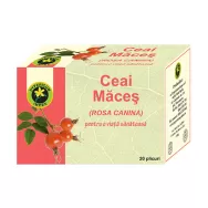 Ceai macese 20dz - HYPERICUM PLANT