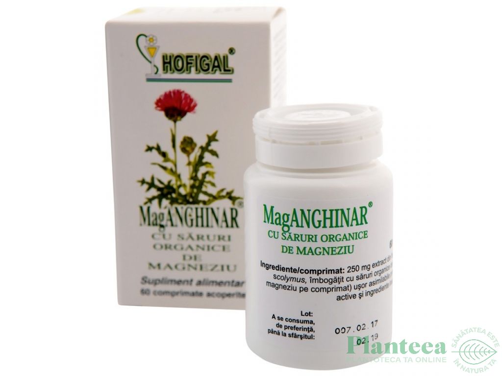 MagAnghinar saruri organice magneziu 60cp - HOFIGAL