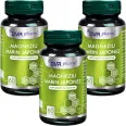 Set Magneziu marin japonez 3x60cps - DVR PHARM