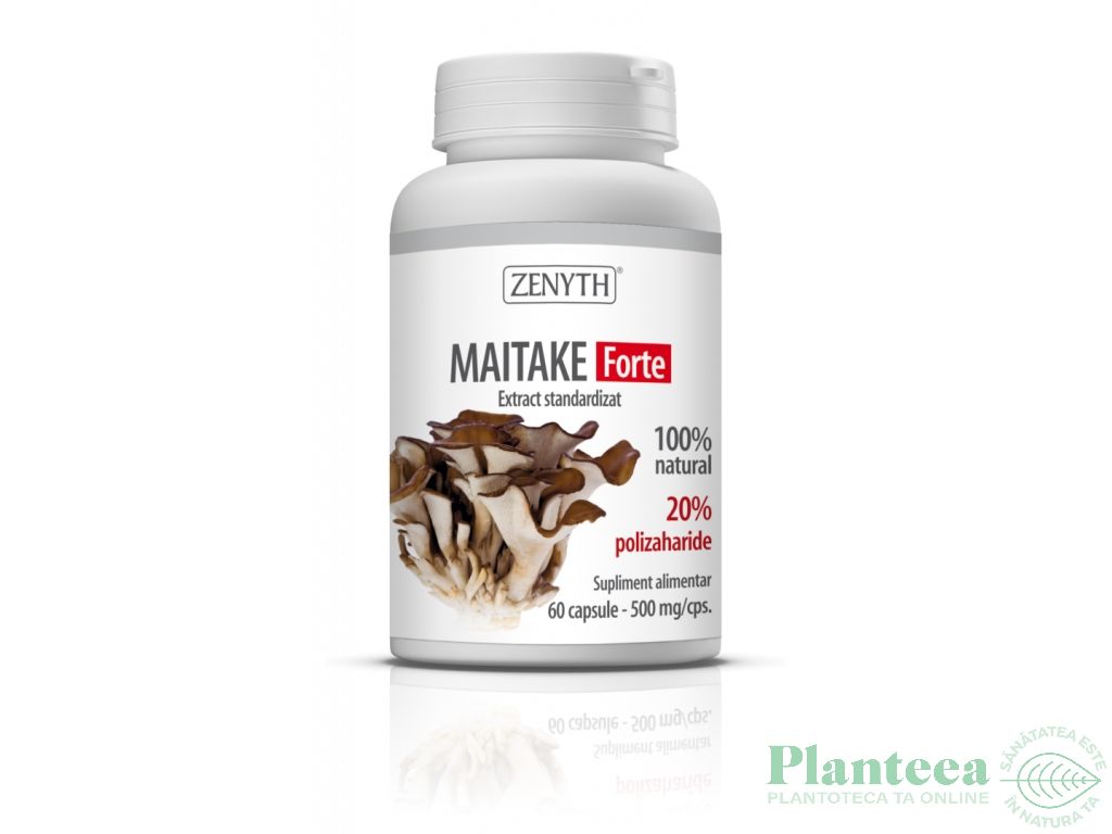 Maitake forte 500mg 60cps - ZENYTH