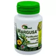 Margusa 50cp - AYURMED