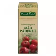 Gemoderivat mar paduret muguri 50ml - PLANTEXTRAKT