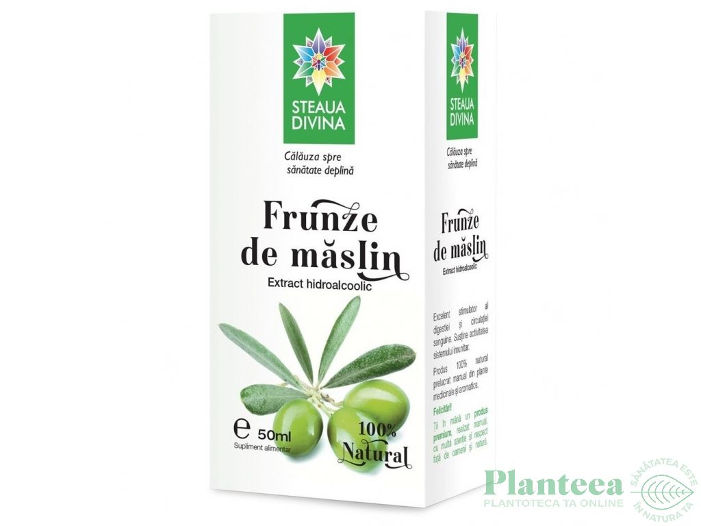 Tinctura frunze maslin 50ml - SANTO RAPHAEL