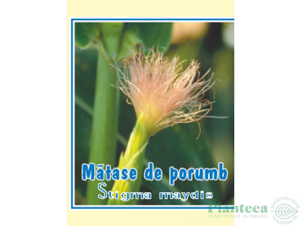 Ceai matase porumb 50g - CYANI