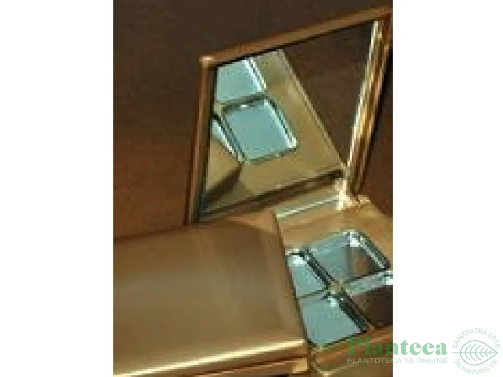 Recipient caseta compacta pt fard 4compartimente 1b - ELLEMENTAL