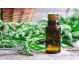 Tinctura paducel flori frunze 50ml - DACIA PLANT