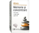 Memorie concentrare adulti 30cp - ALEVIA