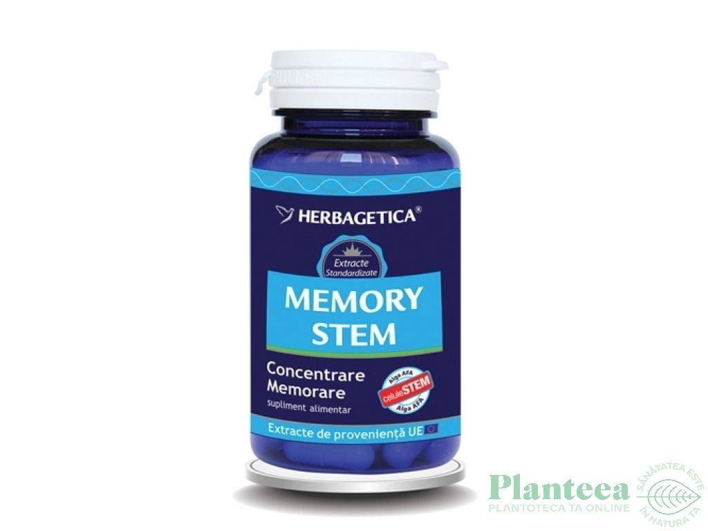 Memory stem 60cps - HERBAGETICA