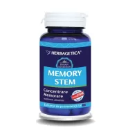 Memory stem 60cps - HERBAGETICA