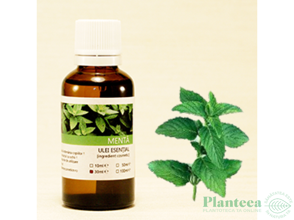 Ulei esential menta 10ml - SANFLORA