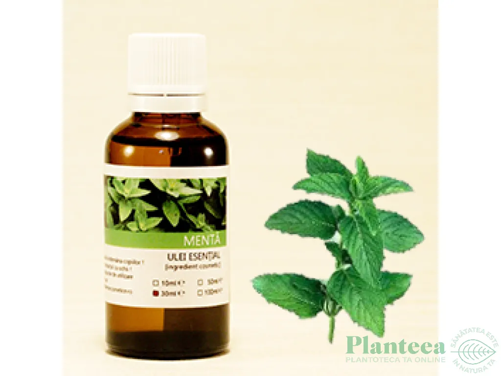 Ulei esential menta 100ml - SANFLORA