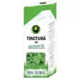 Tinctura menta 50ml - HYPERICUM PLANT