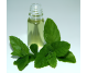 Ulei esential menta piperata 10ml - SOLARIS