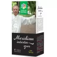 Meridian intestin gros 100ml - SANTO RAPHAEL