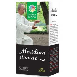 Meridian stomac 100ml - SANTO RAPHAEL