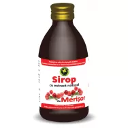 Sirop merisor cu zahar invertit 250ml - HYPERICUM PLANT