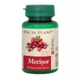 Merisor 60cp - DACIA PLANT