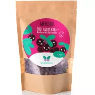 Merisoare in ciocolata fara zahar 250g - SWEETERIA