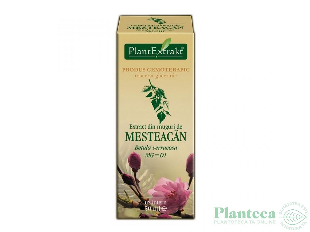 Gemoderivat mesteacan muguri 50ml - PLANTEXTRAKT