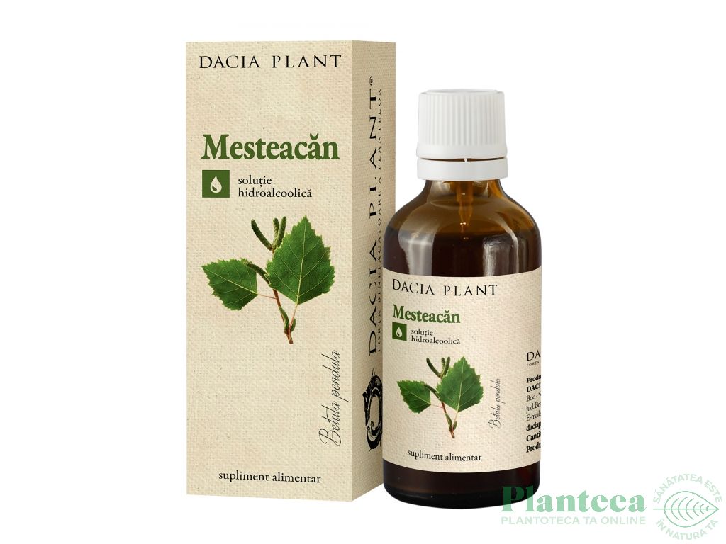 Tinctura mesteacan 50ml - DACIA PLANT