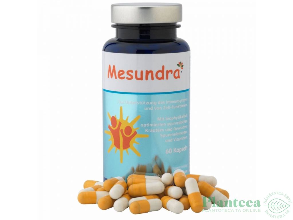 Mesundra 60cps - JABOSAN HEALTH